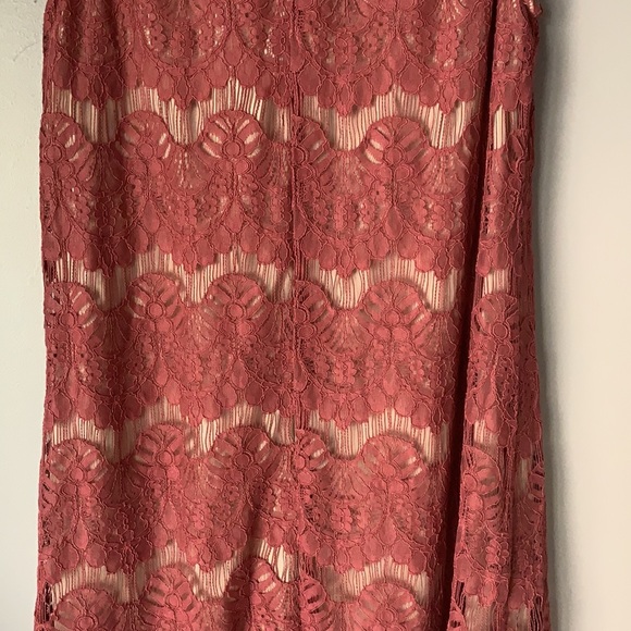 Speechless Pink Lace with Nude Underlining - Picture 7 of 13